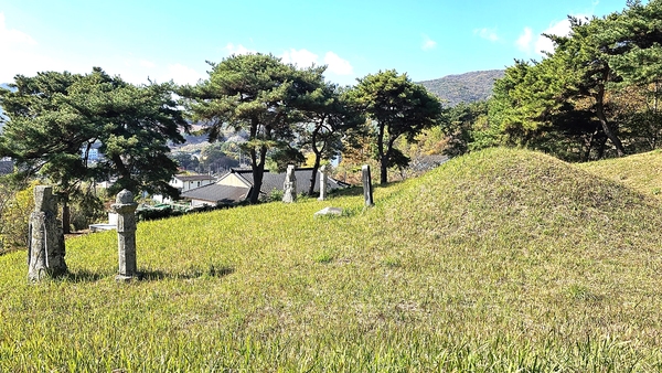 남산영당 뒷산에 있는 남이웅 조애중 부부의 합장 묘소.