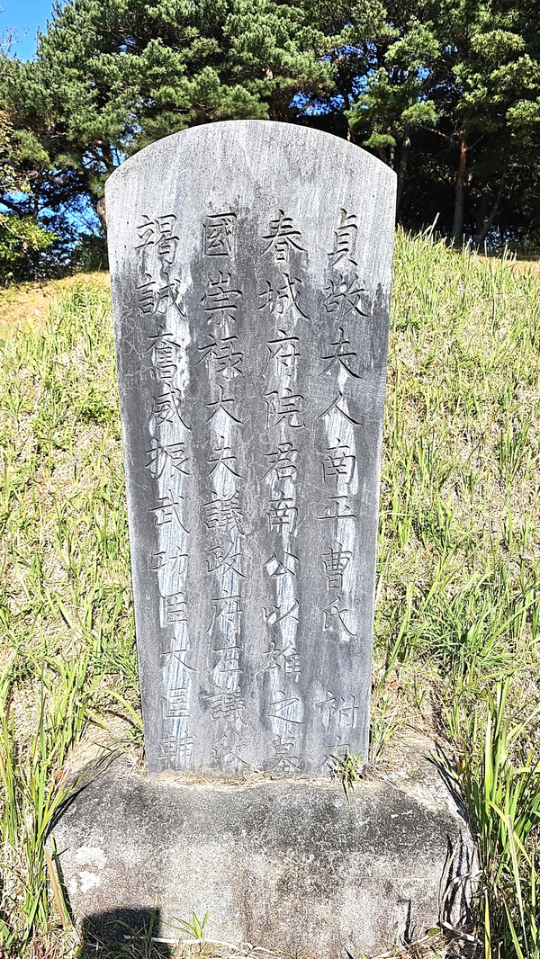 남이웅 조애중 부부의 묘비.