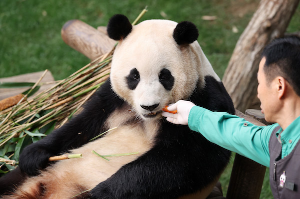 사진= 연합뉴스