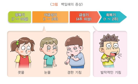 사진= 지식백과