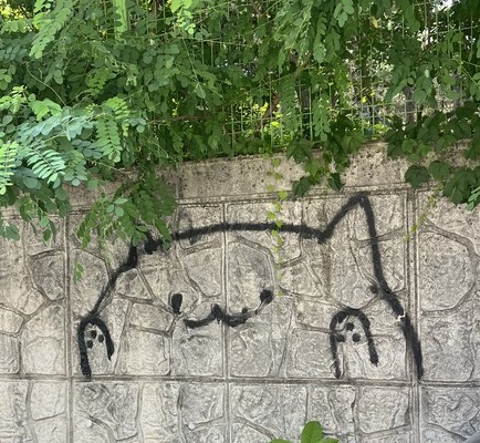 사진= 금강일보. 조은수 기자