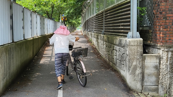 한 행인이 24일 대전 서구 정림동 코스모스아파트 바로 옆 보행자도로를 오르고 있다. 보행자도로와 비교해봐도 코스모스아파트는 상당히 저지대에 위치해있음을 알 수 있다.