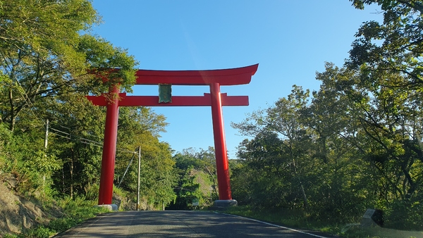 신사로 가는 도로에 있는 도리이