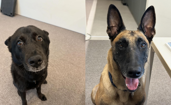 사진 = 강형욱 인스타그램