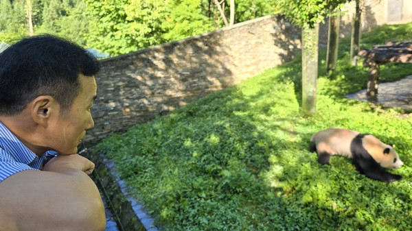 사진=삼성물산 리조트부문