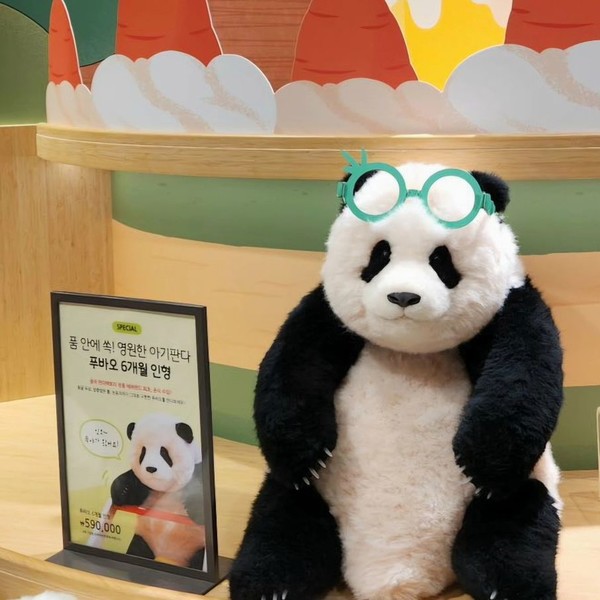 사진=판다팩토리 공식 SNS