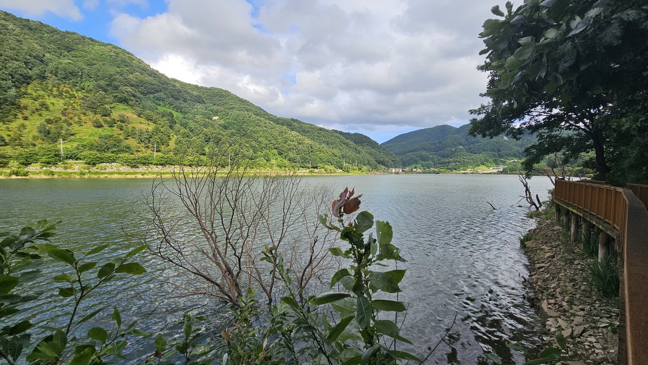 산책길에서 바라본 삼기저수지의 평온한 모습