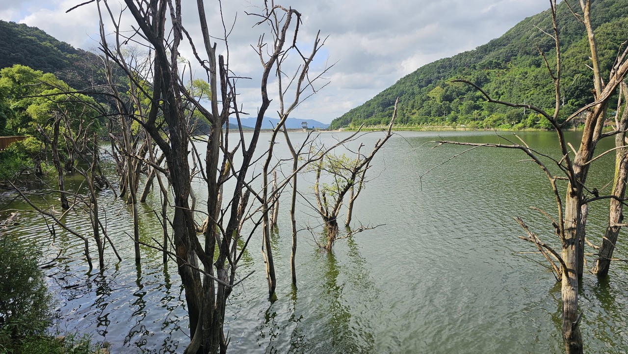 삼기저수지의 맑고 깨끗한 물