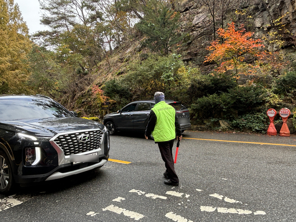 지난 2일 장태산자연휴양림 주차장 내 편도 1차로에 한 차량이 정차해 있다.