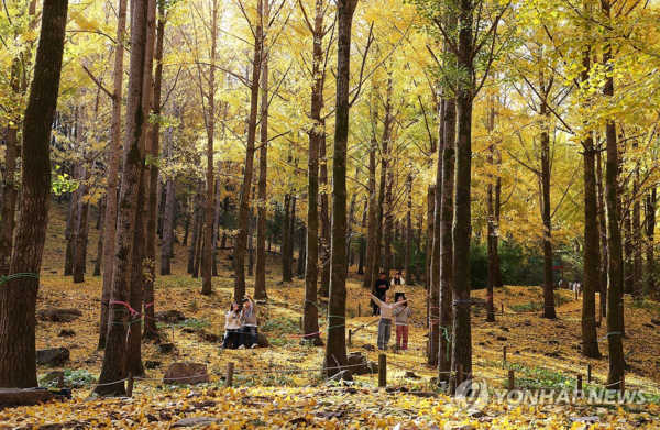 사진= 연합뉴스