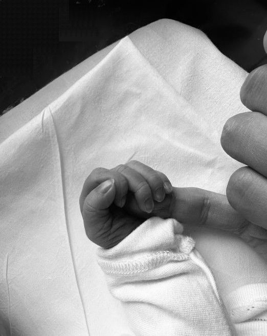 사진 = 송중기 팬카페