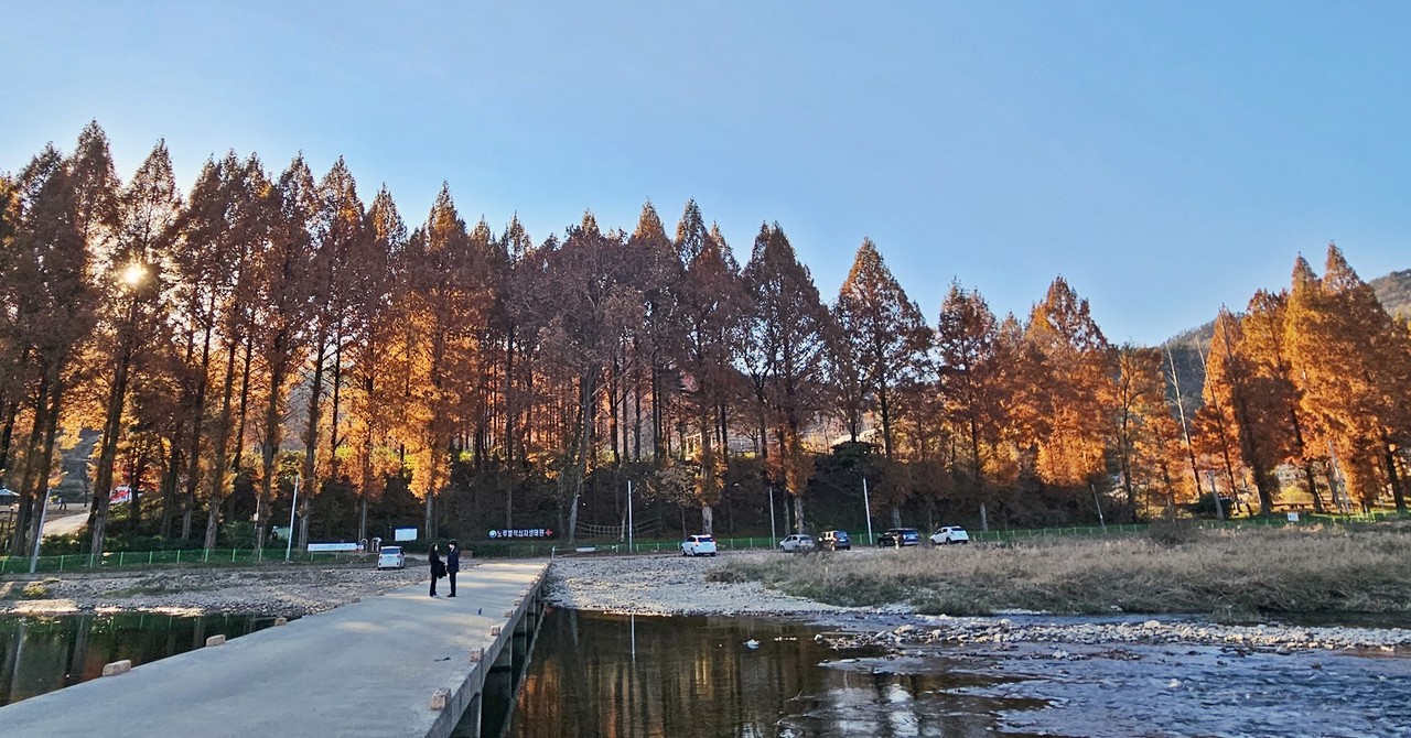 미소 부르는 커플 풍경.