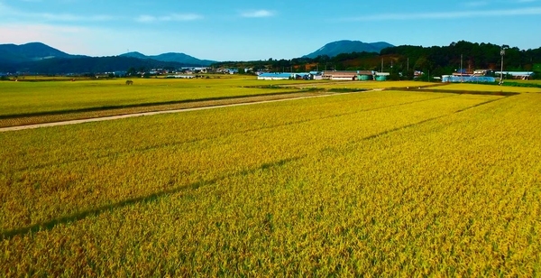 홍성군 '저탄소·유기농업특구' 재승인 받아 - 뉴스 썸네일 이미지