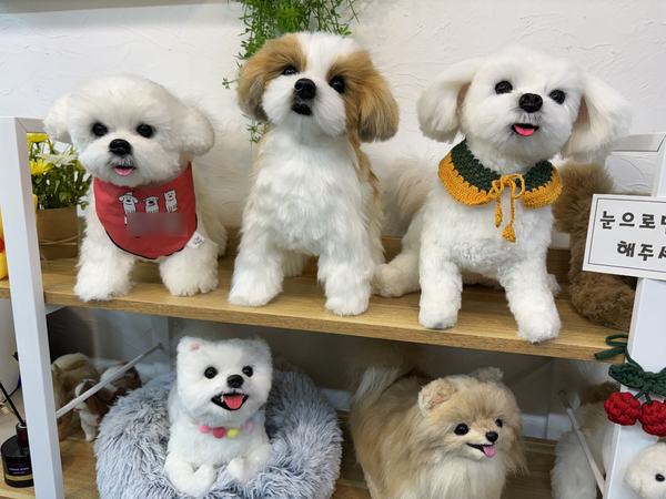대전 서구 관저동 한 대형상가에 반려견 모양의 아트돌이 진열돼 있다.