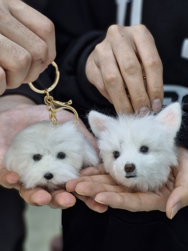 완성된 반려견 양모펠트키링. 일행이 만든 말티즈 ‘보리(왼쪽)’와 기자가 만든 ‘몽구’다.