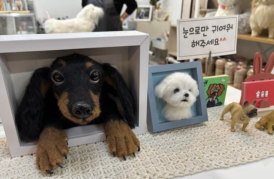 대전 서구 관저동 한 대형상가에 반려견 모양의 양모펠트 공예품이 액자에 진열돼 있다.
