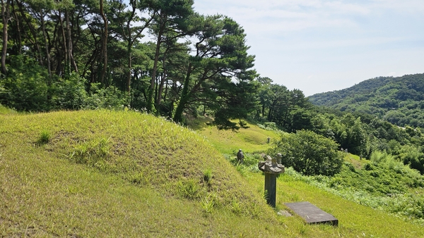가정 선생 문효공 이곡 묘소 측면. 우측에 있는 묘소가 부인 함창김씨 묘소이다.