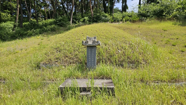 가정 선생 문효공 이곡 묘소 인근에 있는 처 함창김씨 묘소.