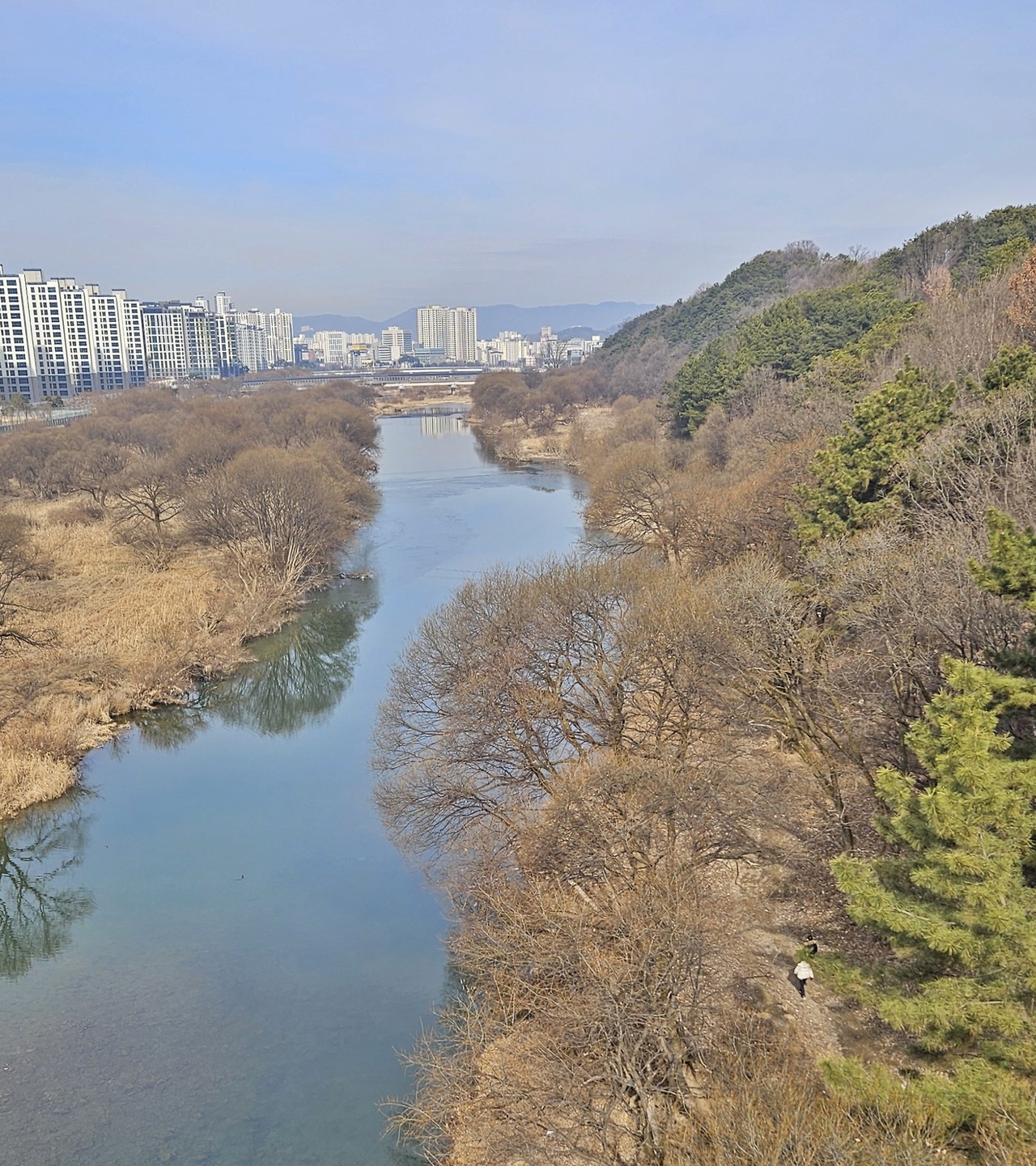 갑천습지길 걷다보면