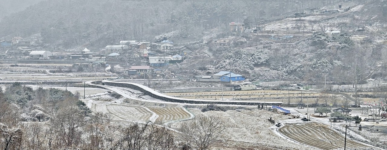 눈 내리던 날 두메마을. 맨 오른쪽이 거대억새습지 초입이다.