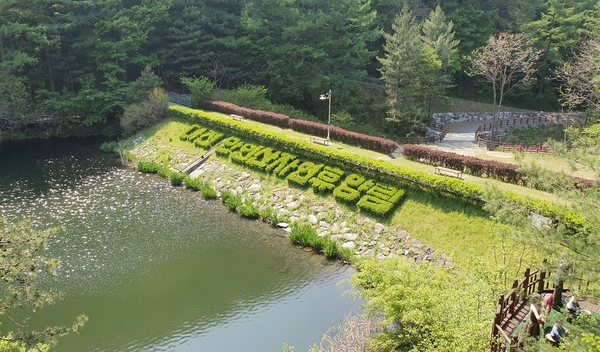 만인산자연휴양림의 여름. 금강일보 DB