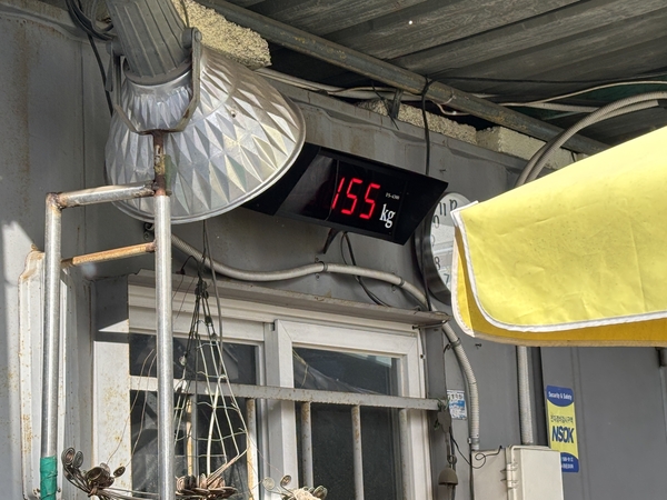 고물상 저울에 수레가 155㎏으로 측정됐다. 2시간 동안 폐지를 주운 결과다.