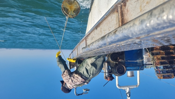 낙지통발을 배 위로 올리는 있다.