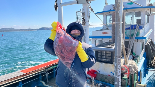 기자가 빨간 그물망에 담긴 낙지를 들어보이고 있다.