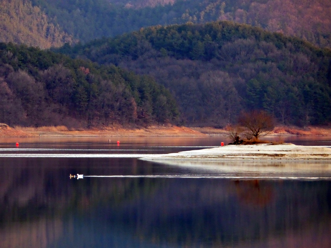 추동습지보호구역 '전망좋은곳' 앞의 홀로섬.
