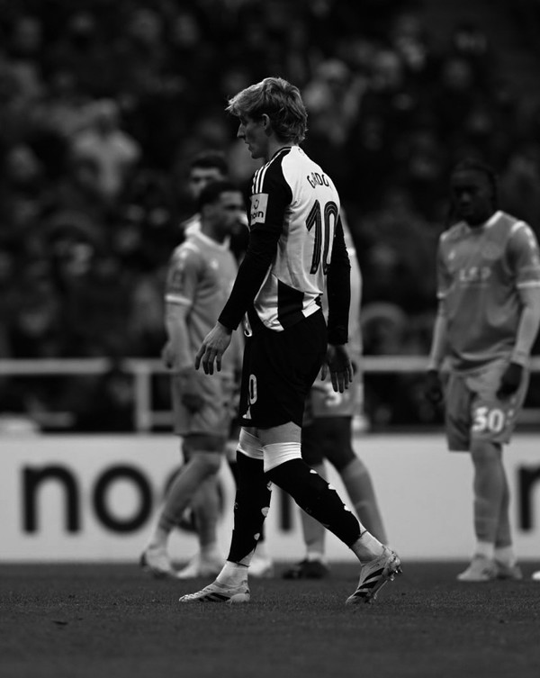 사진= 고든 인스타그램