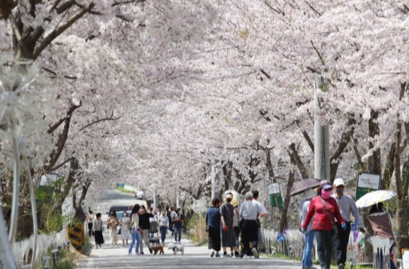 사진 = 한국관광공사