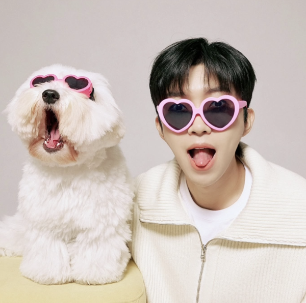 사진= 임영웅 인스타그램