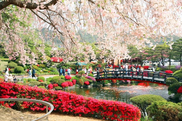 사진= 베어트리파크 제공