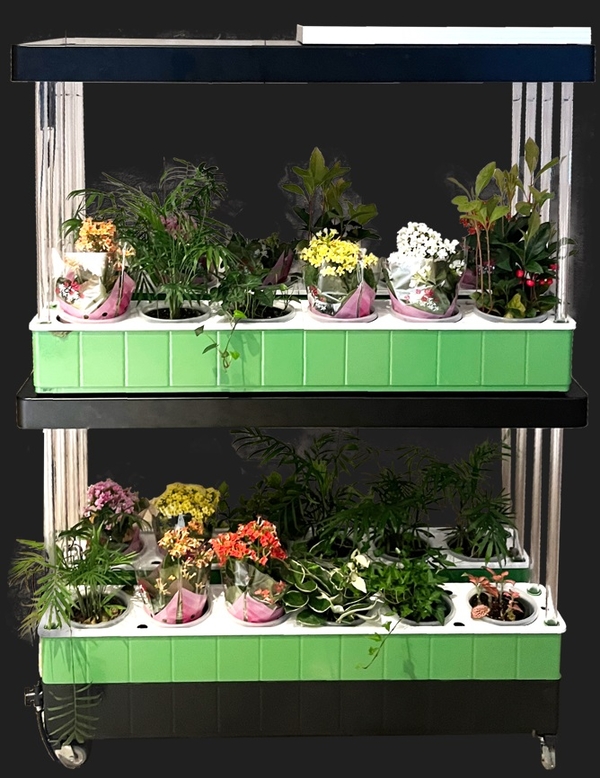 스마트팜. ㈜새온 제공