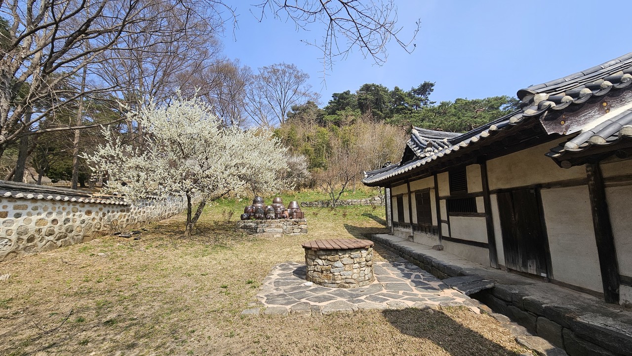 이충무공 고택 장독.