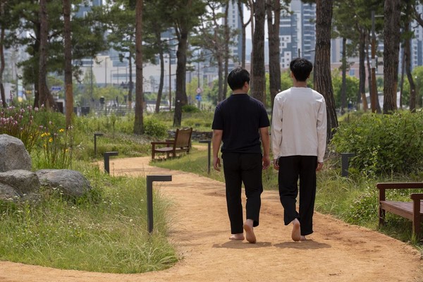 사진=세종시 제공