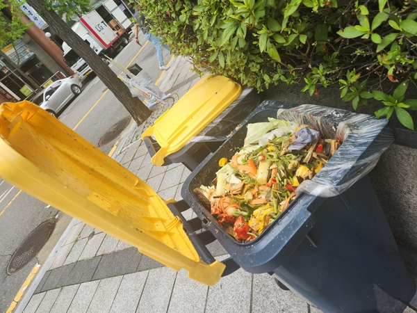 비닐이 씌워진 음식물류 폐기물 수거 용기. 독제 제보
