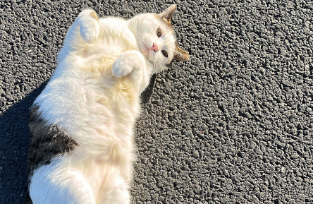 사진= 금강일보DB