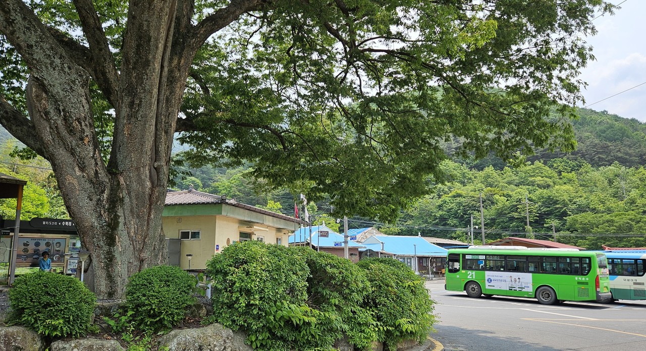 21번 종점 버스정류장. 내가 타고온 21번이다.