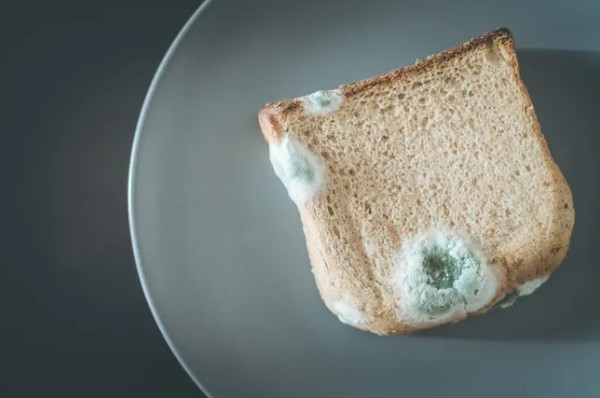 사진 = 게티이미지뱅크 제공