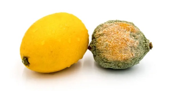 사진 = 클립아트코리아 제공