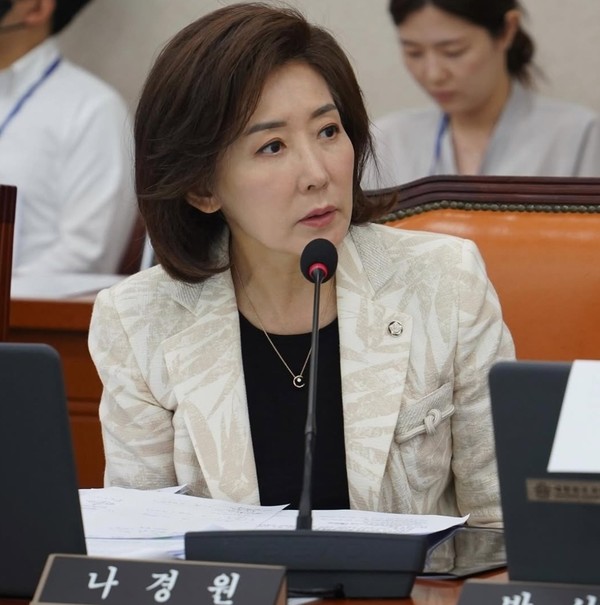 사진= 나경원 인스타그램