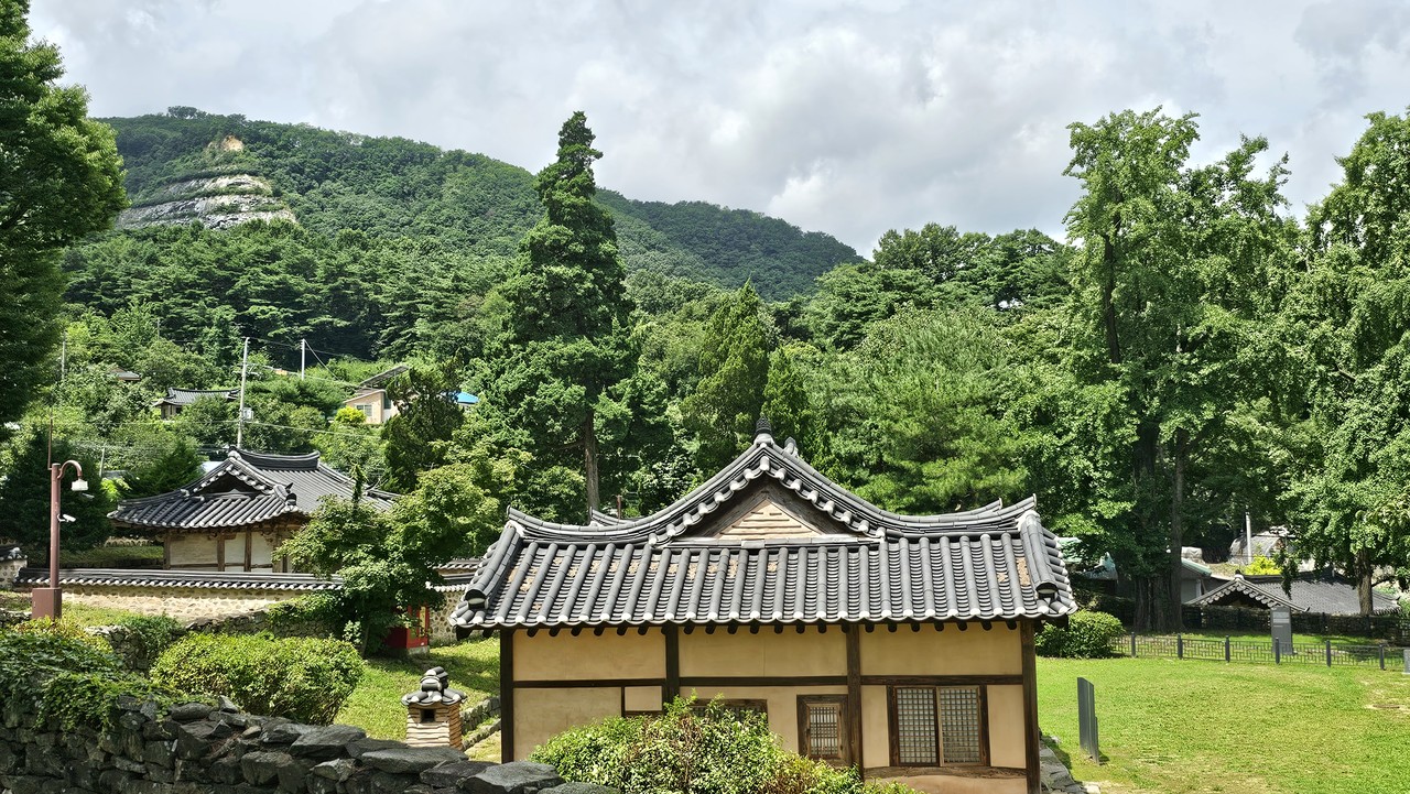 맹씨행단의 옆 모습. 좌측은 세덕사, 우측 큰 은행나무 두 그루는 고불 맹사성이 심은 쌍행수이다.