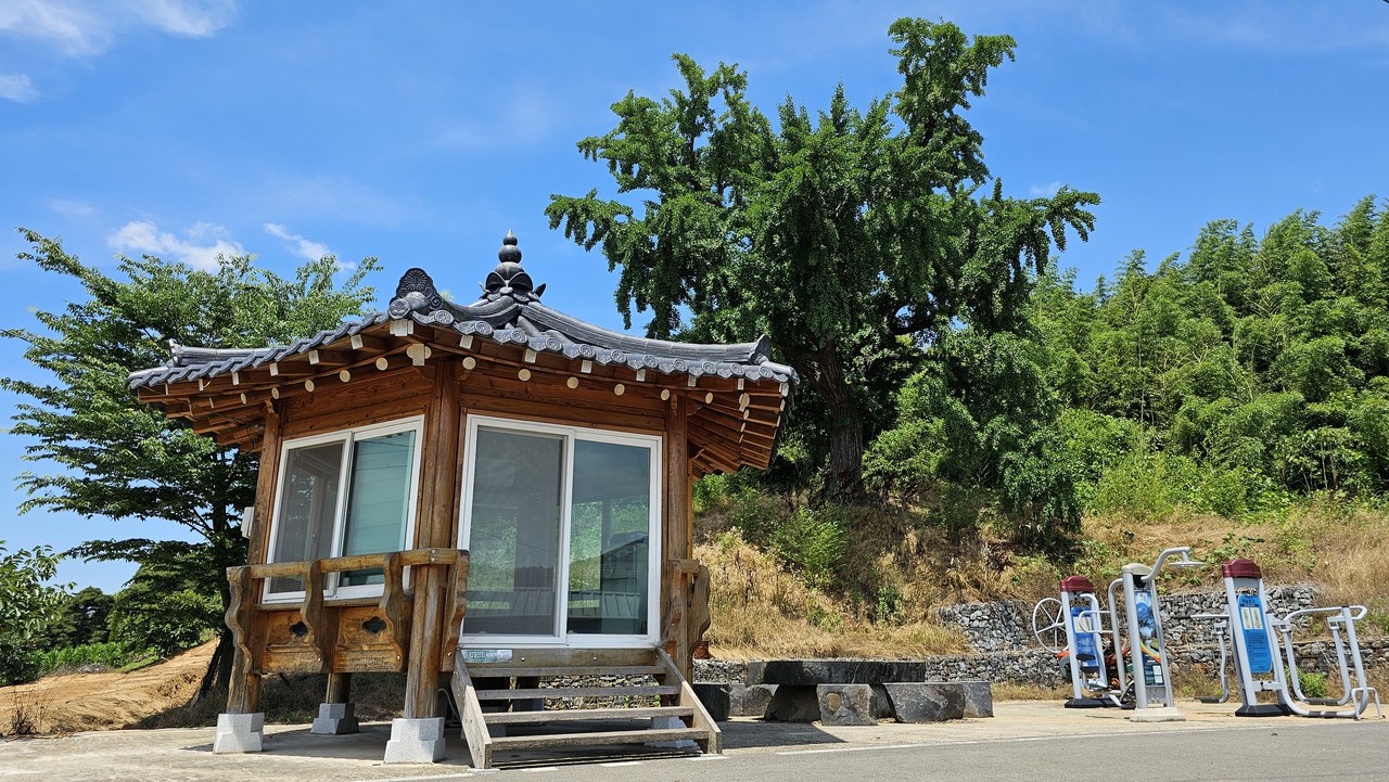 충남 서천군 한산면 축동리에 있는 정자와 고불 맹사성이 심었다는 600년 수령의 은행나무.