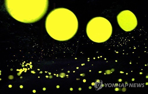 사진= 연합뉴스