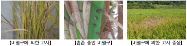 사진 = 경기도농업기술원 제공