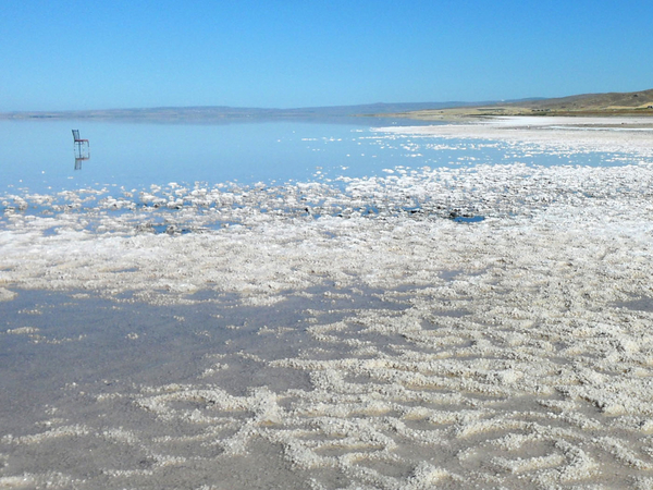 소금 모래사장