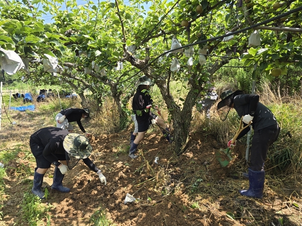 ▲ 법무부 대전보호관찰소 제공
