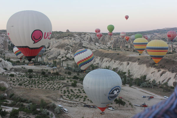 회사별로 떠오르는 열기구
