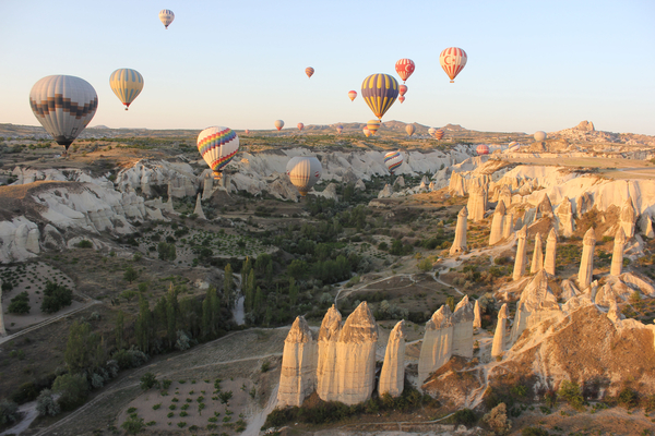 회사별 다양한 열기구